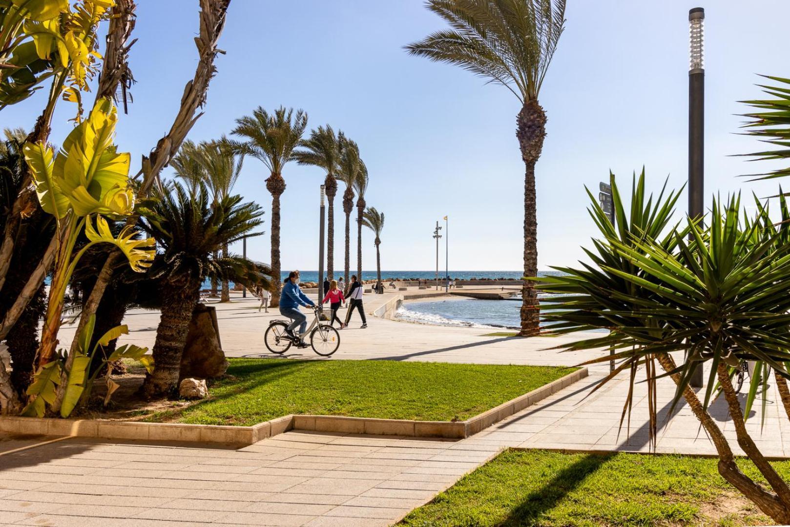 Calle Concordia 86, Two Bedroom Apartment, Up To 6 Guests, Near Del Cura Beach,Supermarket Mercadona And Central Bus Station Torrevieja Exteriör bild