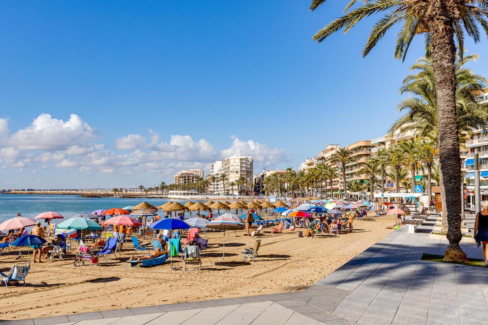 Calle Concordia 86, Two Bedroom Apartment, Up To 6 Guests, Near Del Cura Beach,Supermarket Mercadona And Central Bus Station Torrevieja Exteriör bild