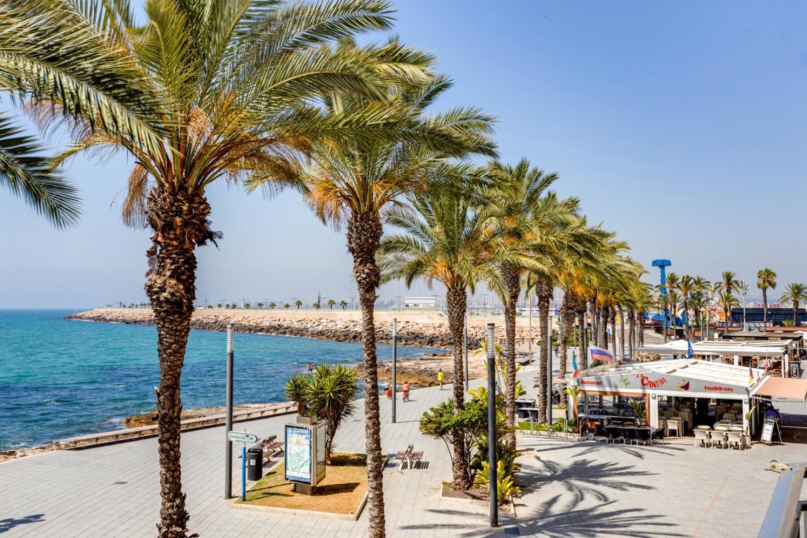 Calle Concordia 86, Two Bedroom Apartment, Up To 6 Guests, Near Del Cura Beach,Supermarket Mercadona And Central Bus Station Torrevieja Exteriör bild