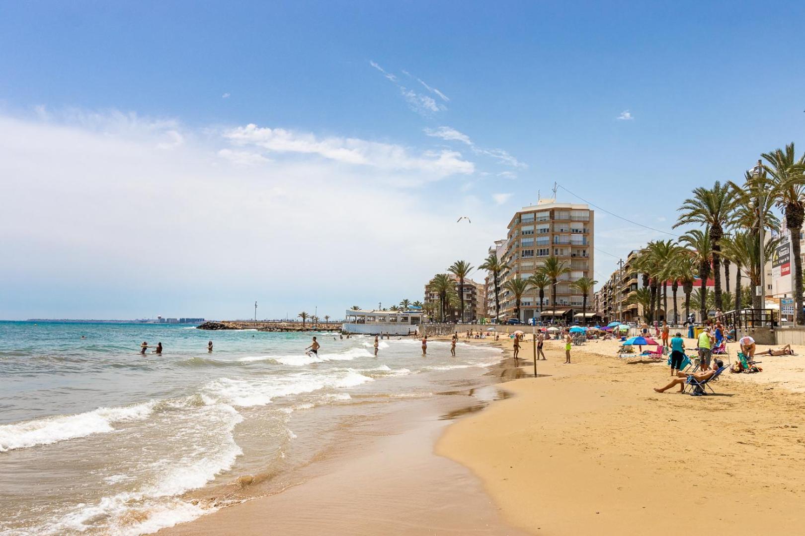 Calle Concordia 86, Two Bedroom Apartment, Up To 6 Guests, Near Del Cura Beach,Supermarket Mercadona And Central Bus Station Torrevieja Exteriör bild