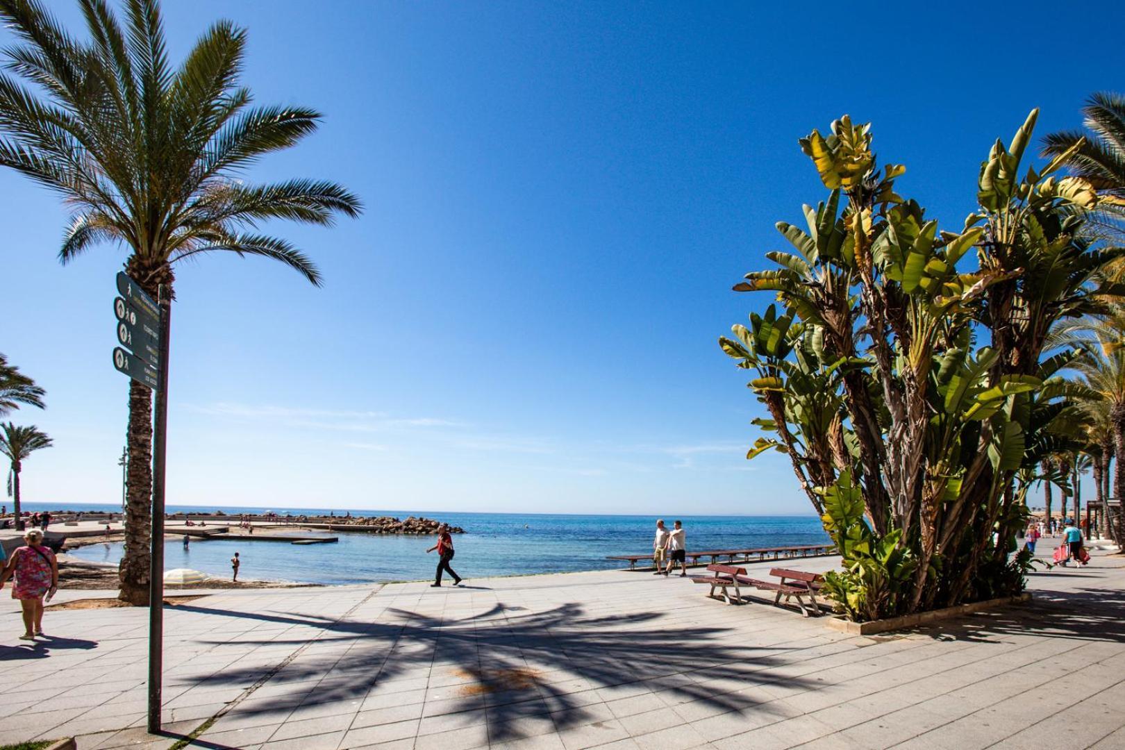 Calle Concordia 86, Two Bedroom Apartment, Up To 6 Guests, Near Del Cura Beach,Supermarket Mercadona And Central Bus Station Torrevieja Exteriör bild