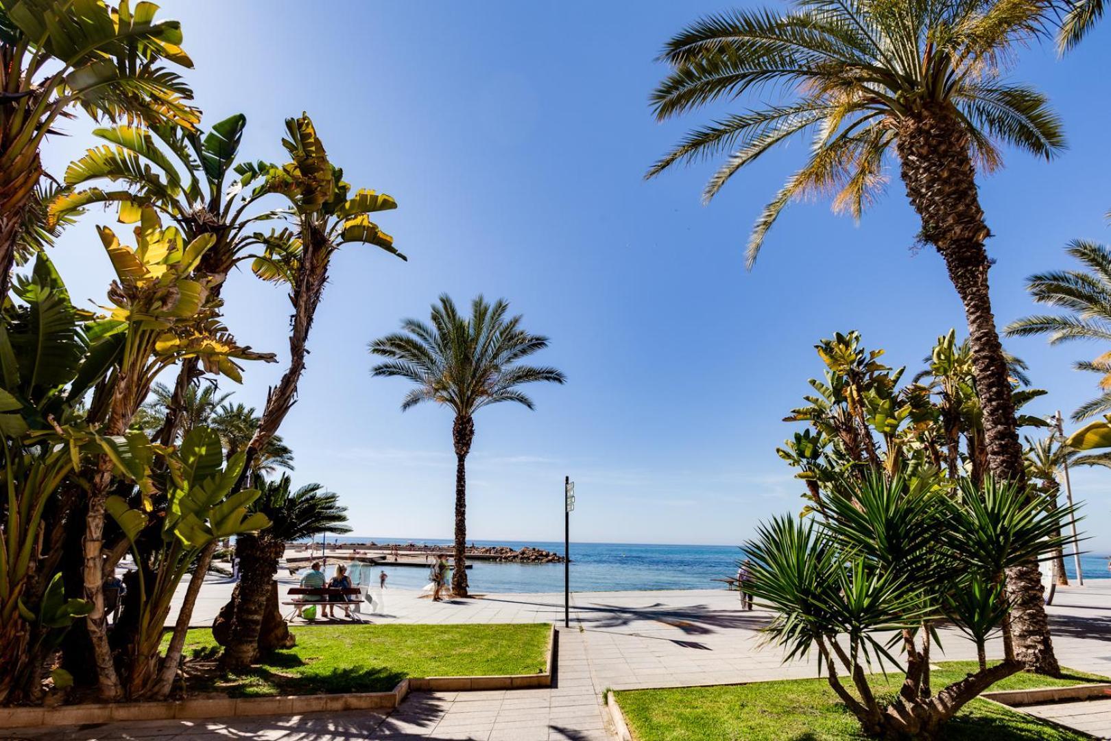 Calle Concordia 86, Two Bedroom Apartment, Up To 6 Guests, Near Del Cura Beach,Supermarket Mercadona And Central Bus Station Torrevieja Exteriör bild